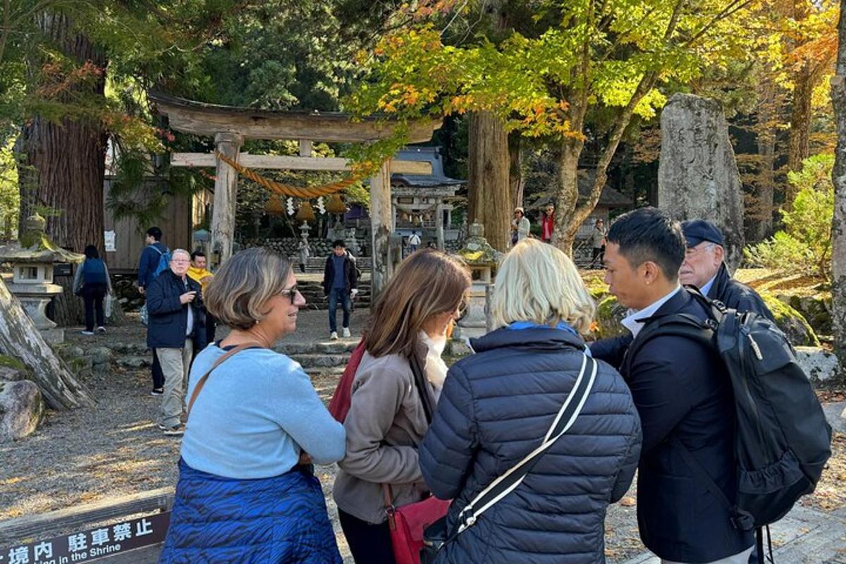 a group of people standing around in a park