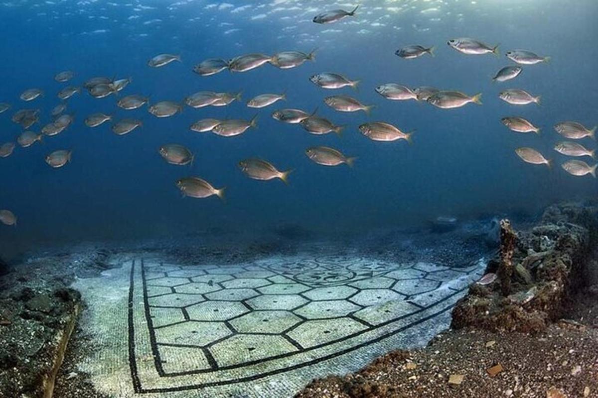 un banco di pesci che nuota nell'oceano