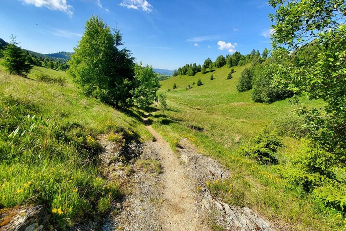 a dirt road in the middle of a field