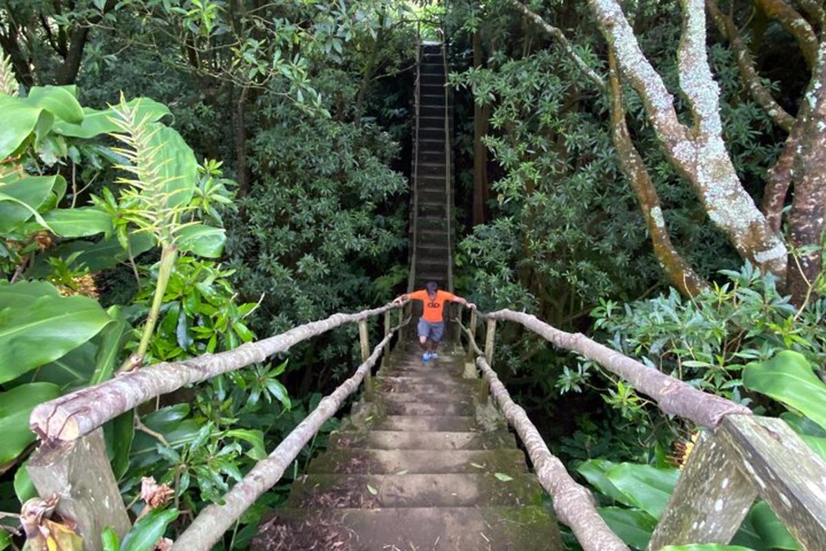 a person walking down a bridge in the jungle