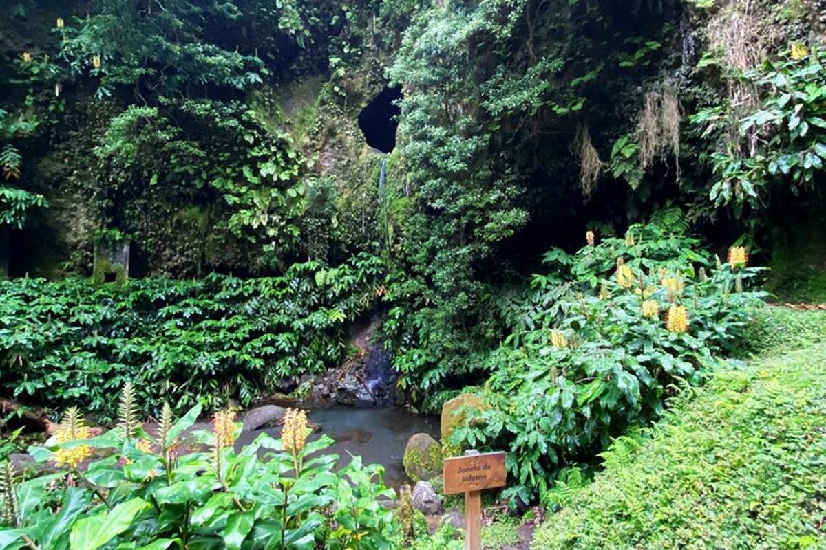a small stream in a garden with trees and plants