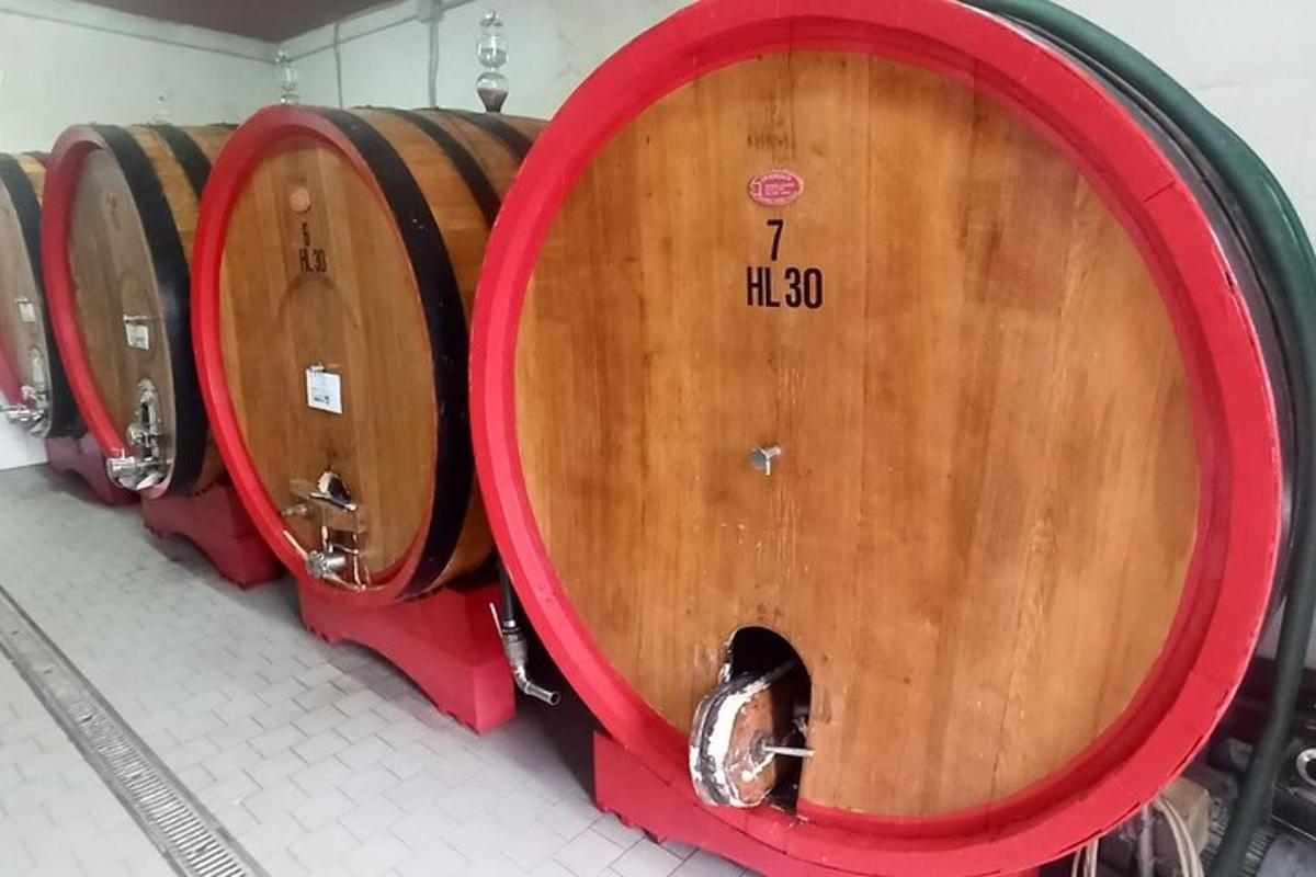 een rij houten wijnvaten in een kamer