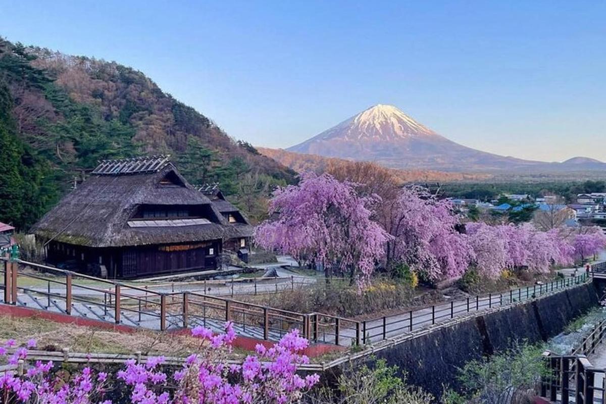 一座山，山上有一座建筑，山上有开着紫色花朵的树