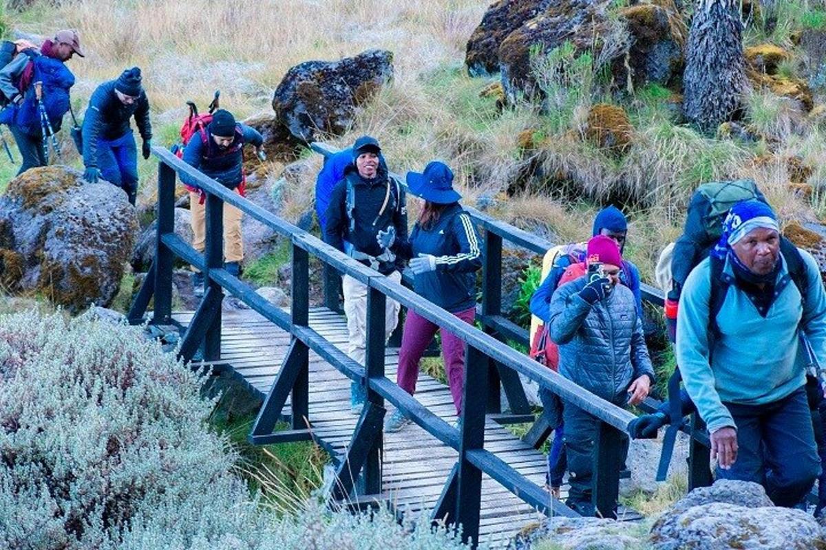 un grupo de personas caminando por un puente de madera