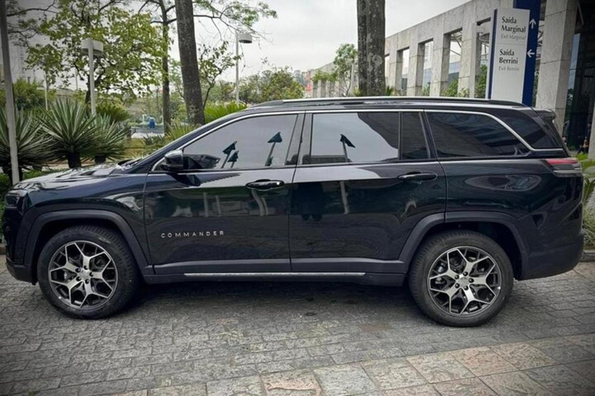 isang itim na suv na may mga ibon sa gilid nito