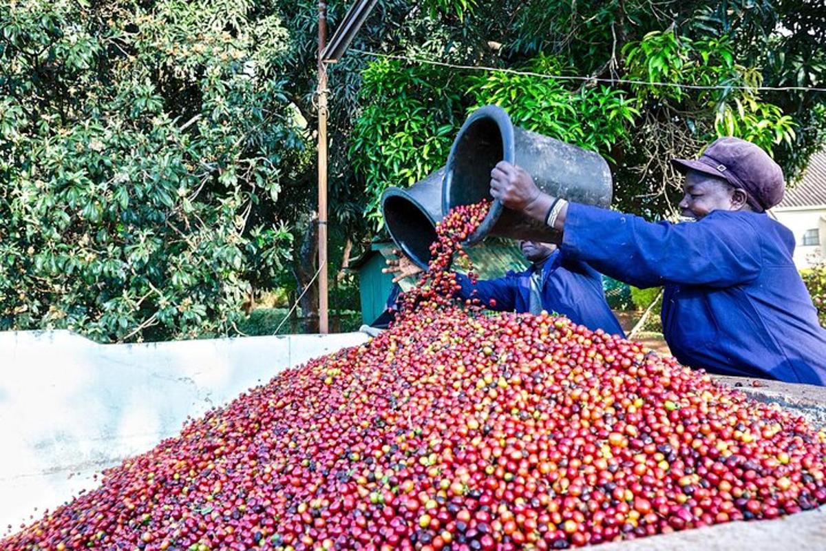 um homem está parado ao lado de uma pilha de frutas
