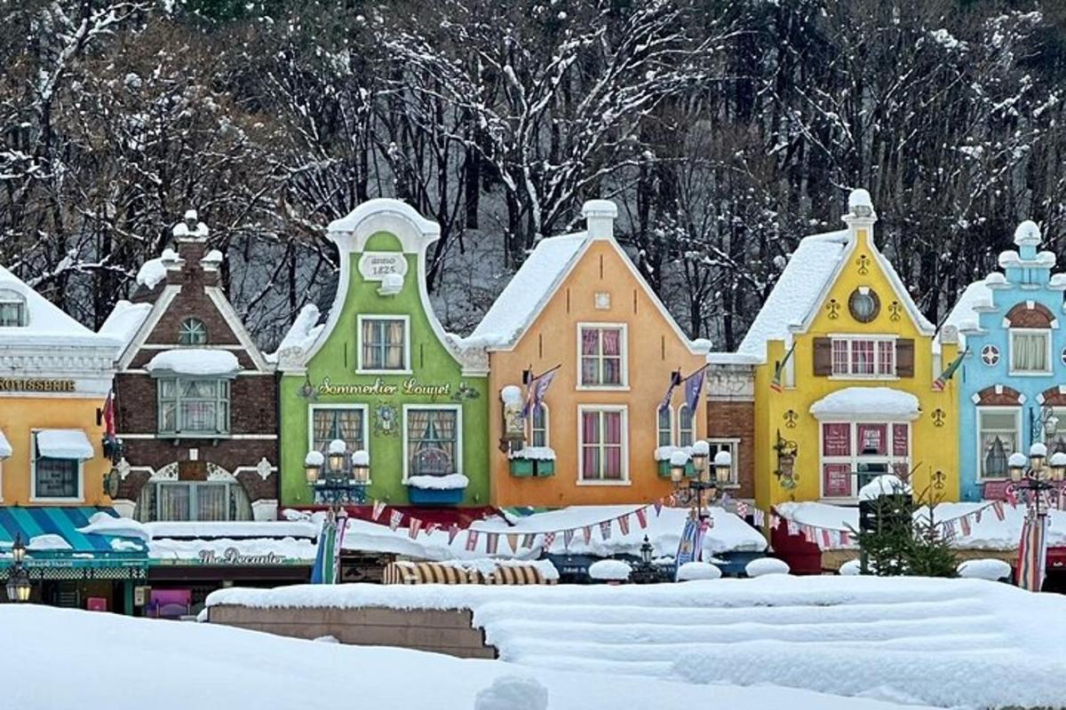 en gruppe hus er dekket av snø