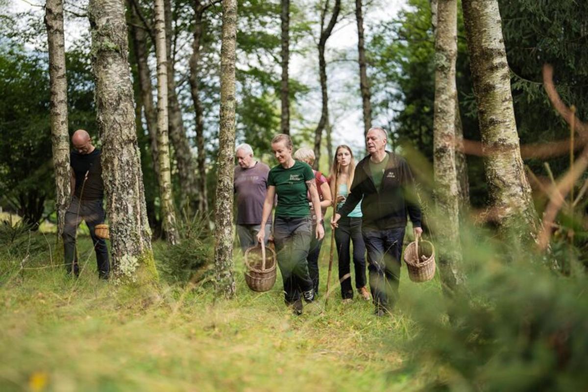 a group of people walking through a forest with baskets