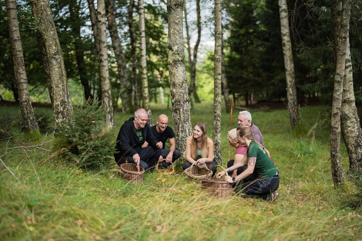 a group of people sitting in the grass in the woods
