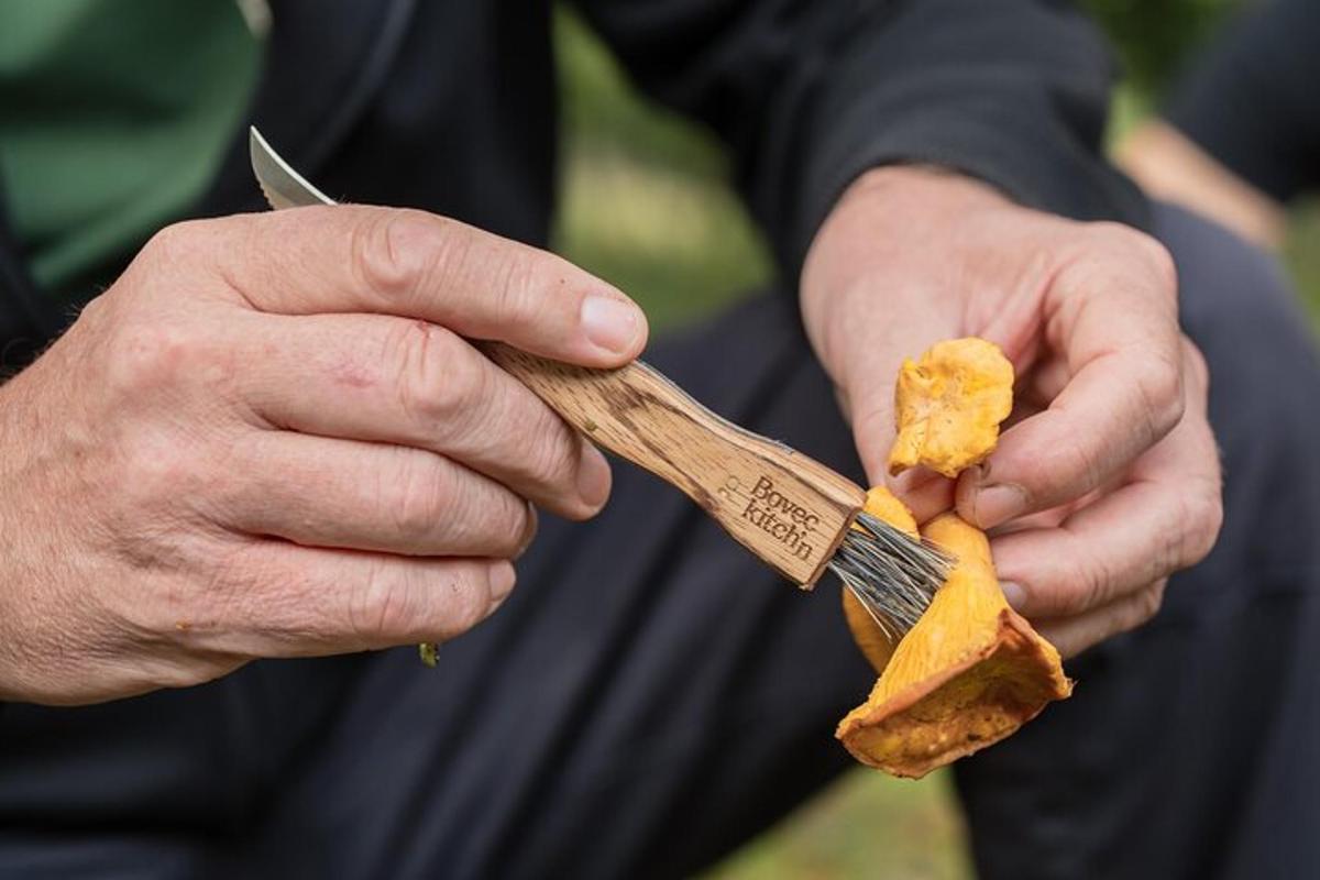 a person holding a fork and a piece of food