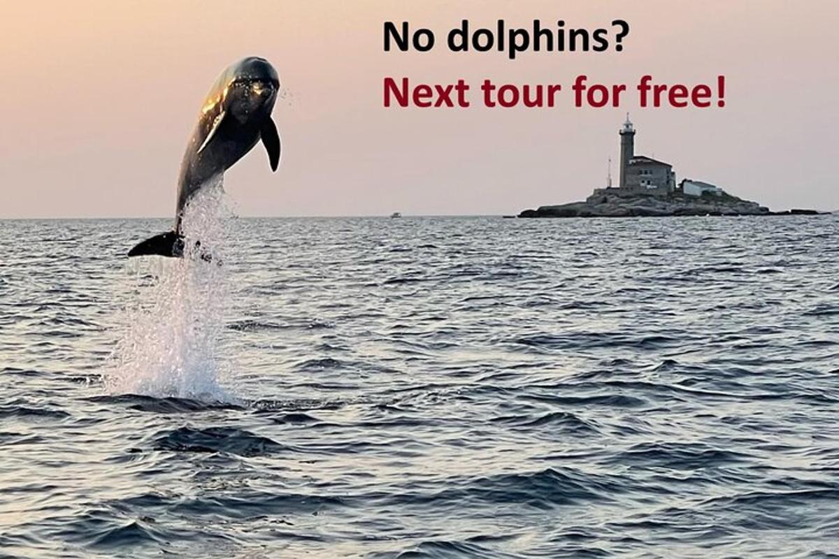 un delfino che salta fuori dall'acqua con la scritta "niente delfini, il prossimo tour è gratuito"