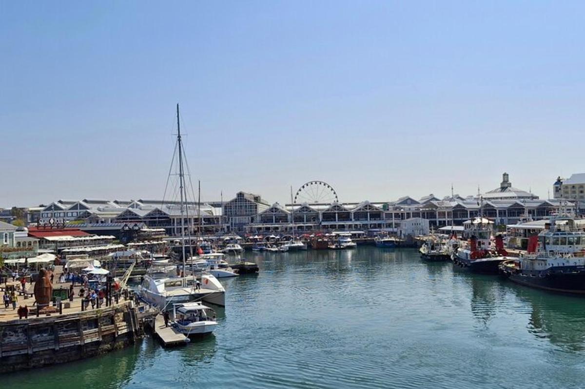 un grupo de barcos atracados en un puerto deportivo