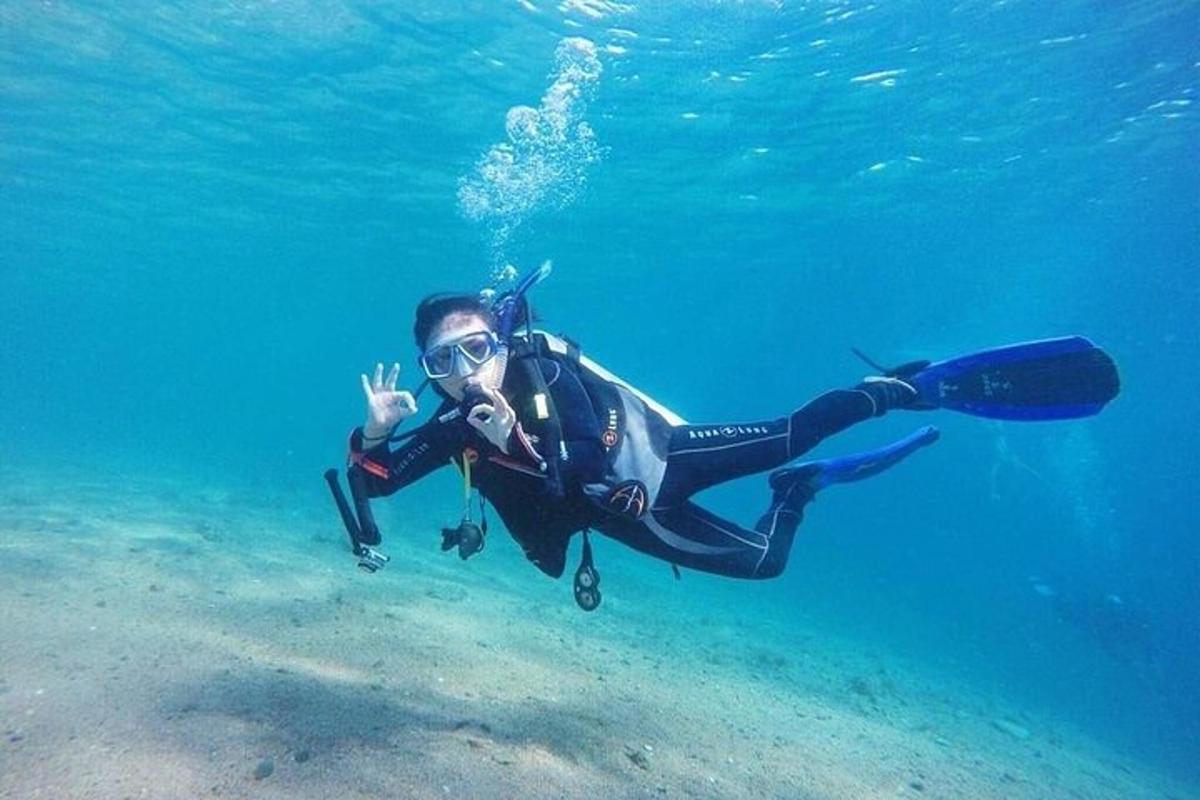 eine Person in einem Neoprenanzug, die im Meer schwimmt