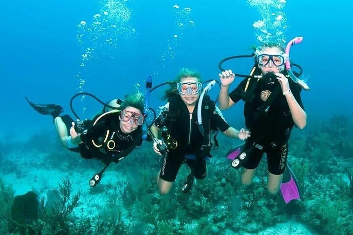 drei Personen tauchen im Meer