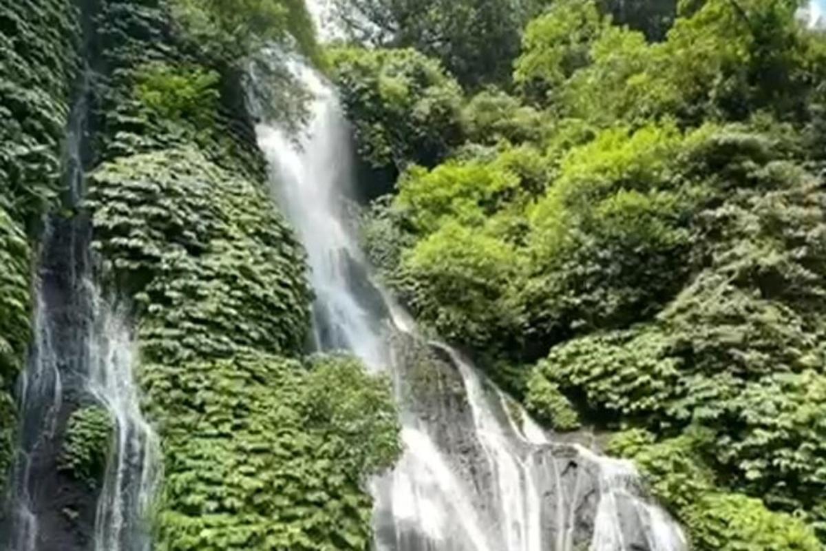 森林中的瀑布