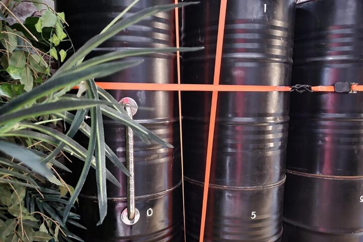 um grupo de barris pretos sentados ao lado de uma planta