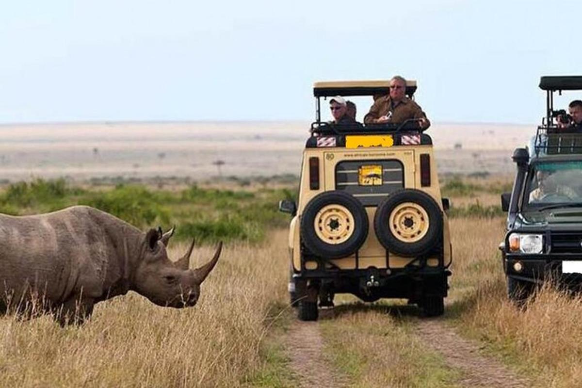 un jeep de safari amb un rinoceront al costat d'un altre rinoceront