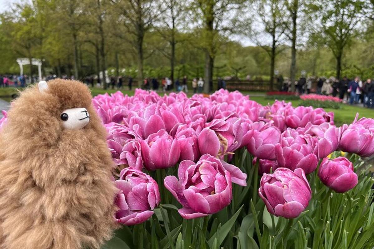 um ursinho de pelúcia em pé na frente de um buquê de tulipas cor de rosa