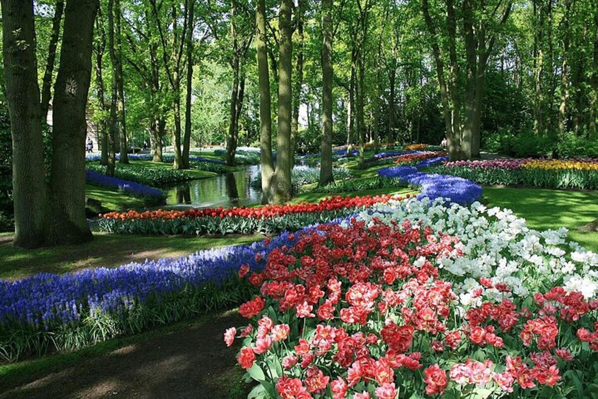 um jardim cheio de flores e árvores