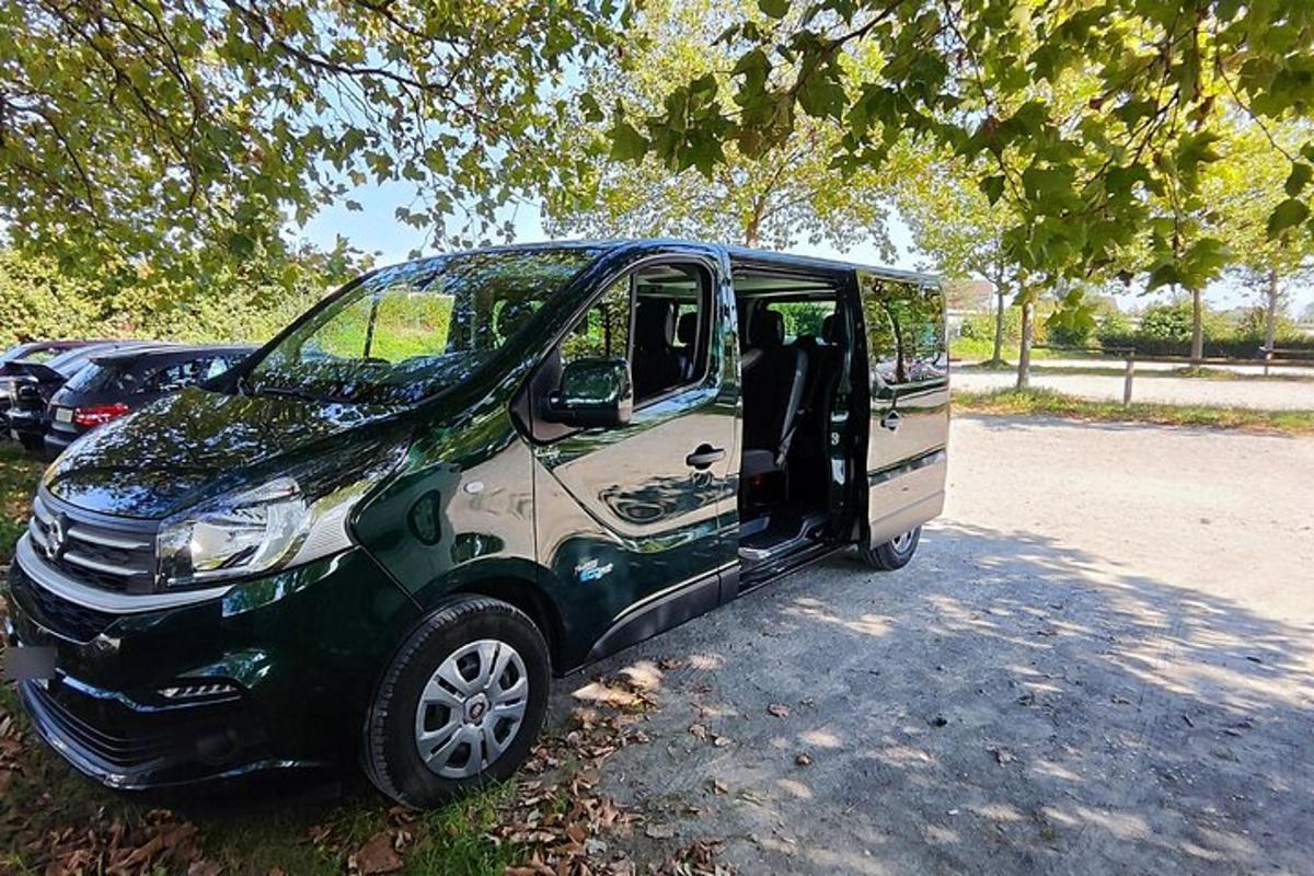 malé zelenobílé auto zaparkované pod stromem