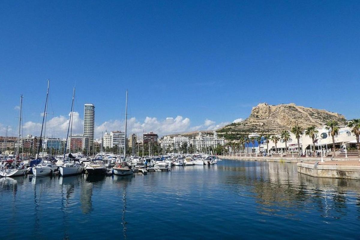 um grupo de barcos está atracado em um porto