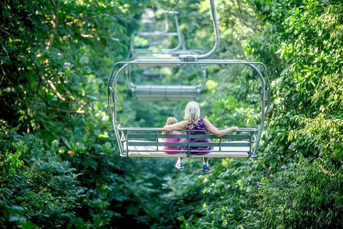 en kvinne sitter på en skiheis i trærne