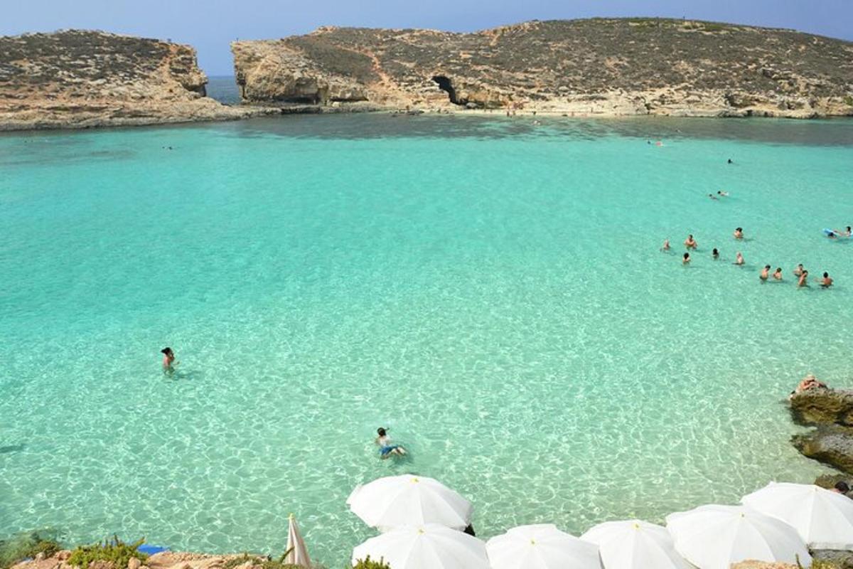 a group of people swimming in a large body of water