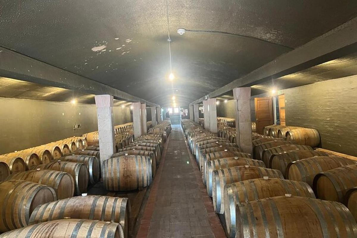 una fila di botti di vino in una cantina