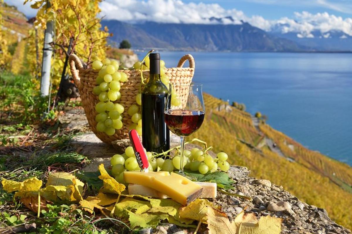 ein Glas Wein und Käse und ein Korb mit Trauben