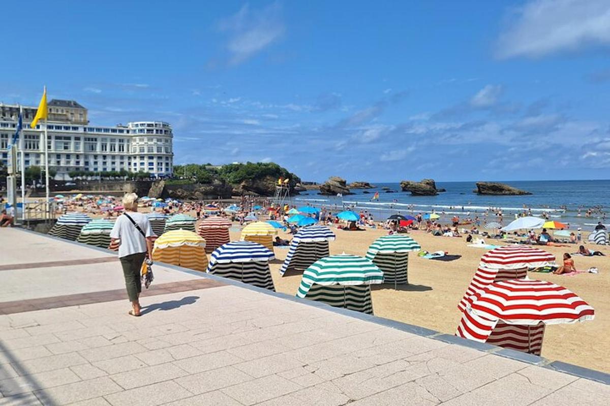 una playa con un montón de sillas y sombrillas