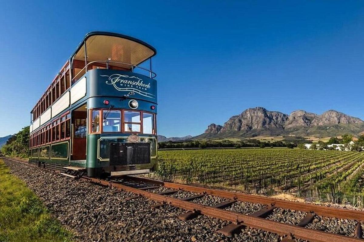 a train on the tracks in front of a vineyard