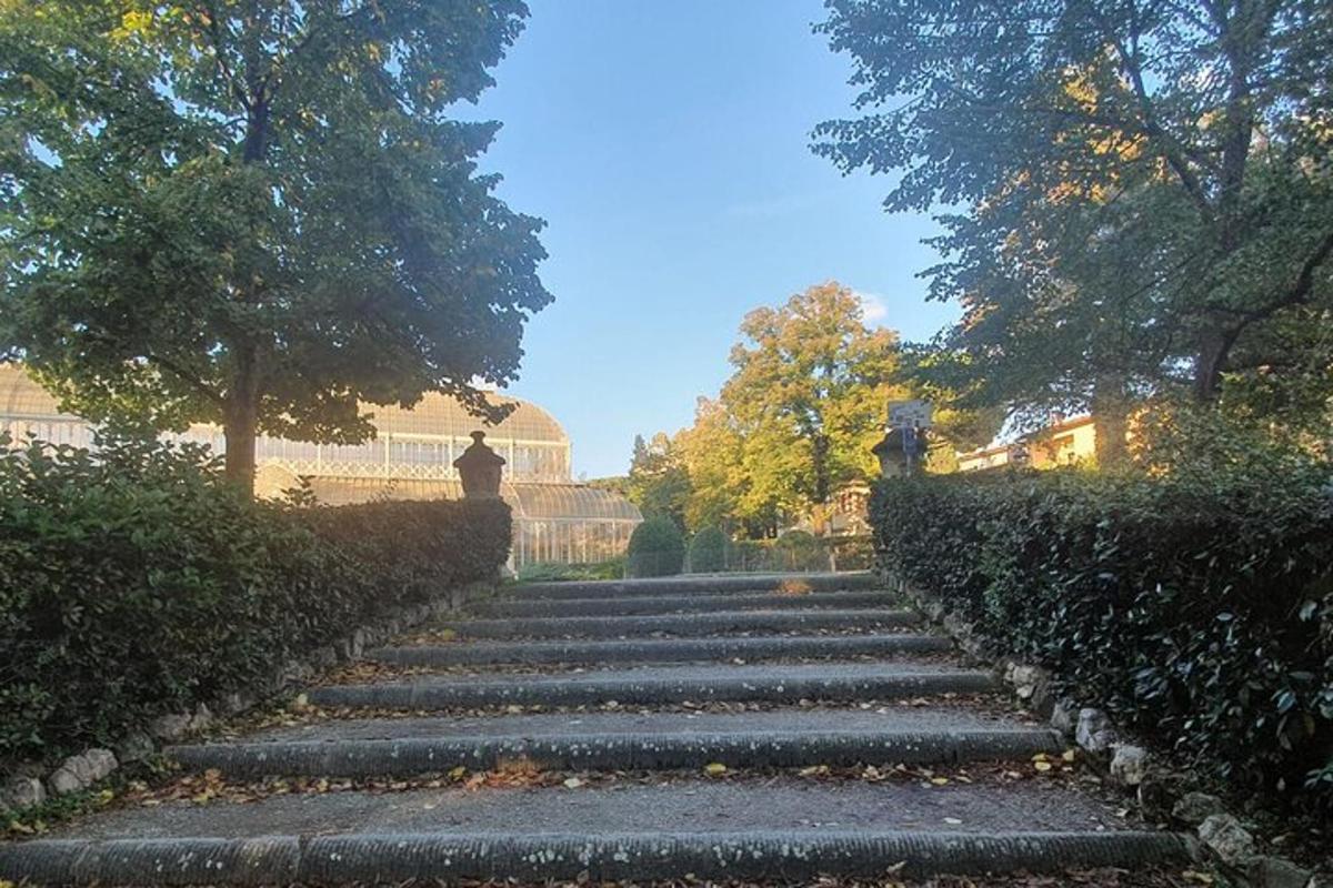 a set of stone stairs in a park with trees