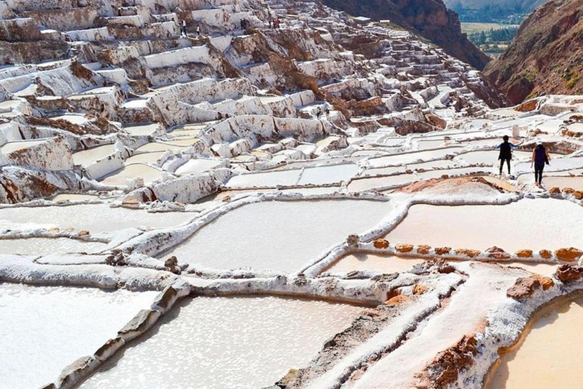 两个人站在白雪皑皑的山顶上