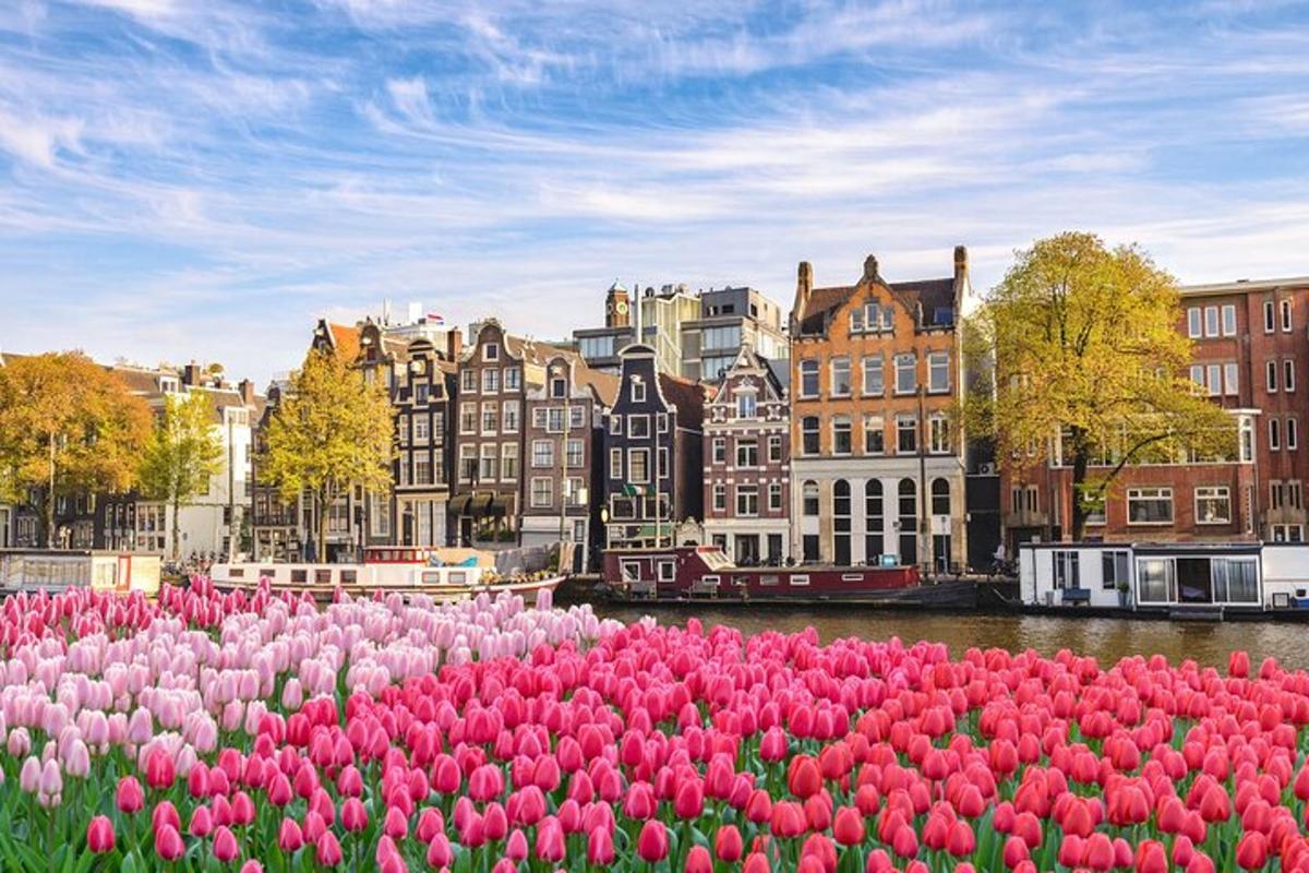 un campo di tulipani rosa di fronte a una città