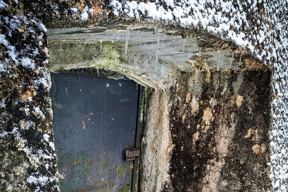 a door in the side of a wall with moss