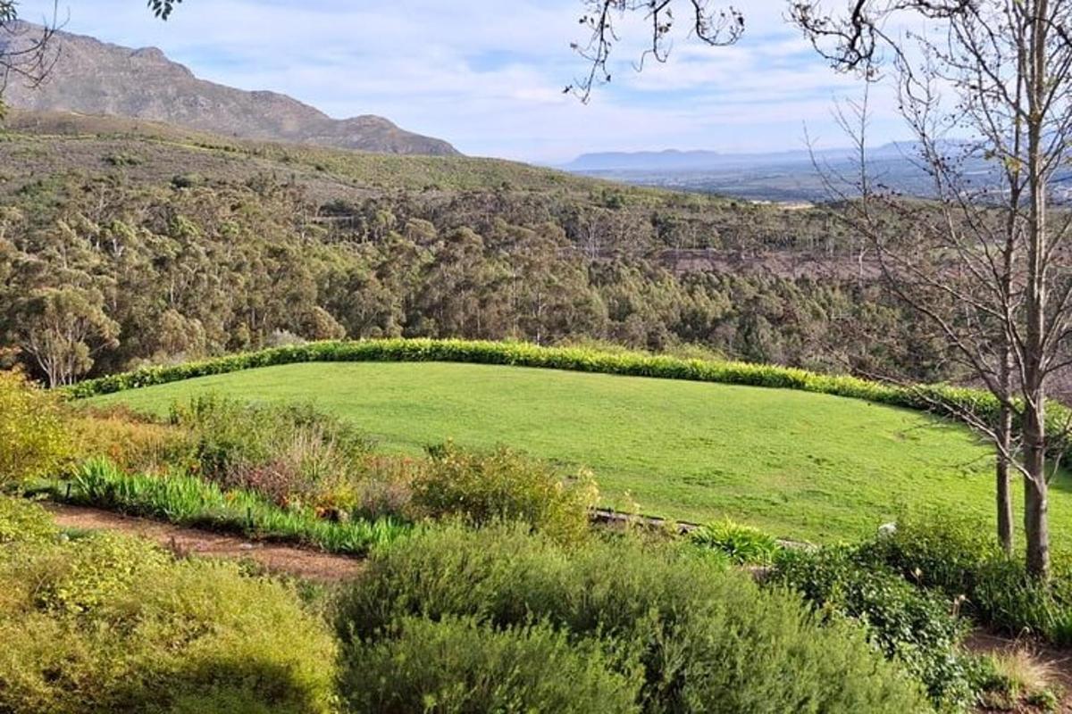Un gran campo verde en medio de una colina