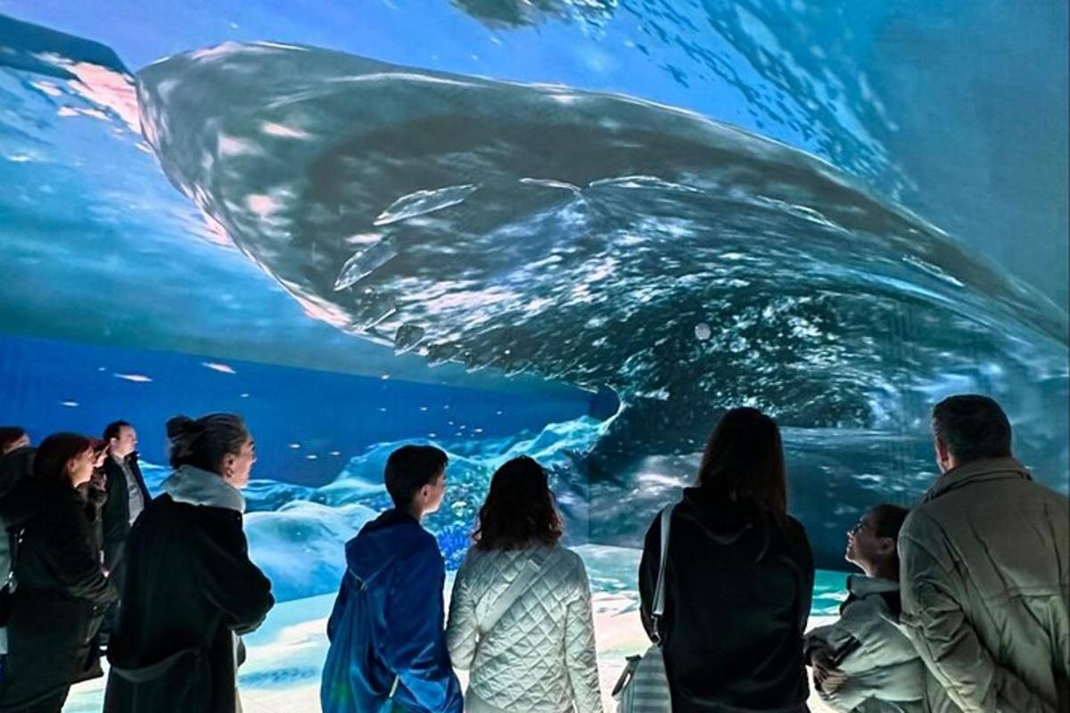 um grupo de pessoas olhando para uma baleia em um aquário