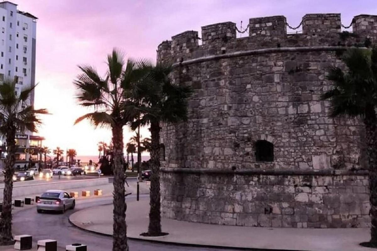 Un muro de piedra con una palmera junto a una calle.