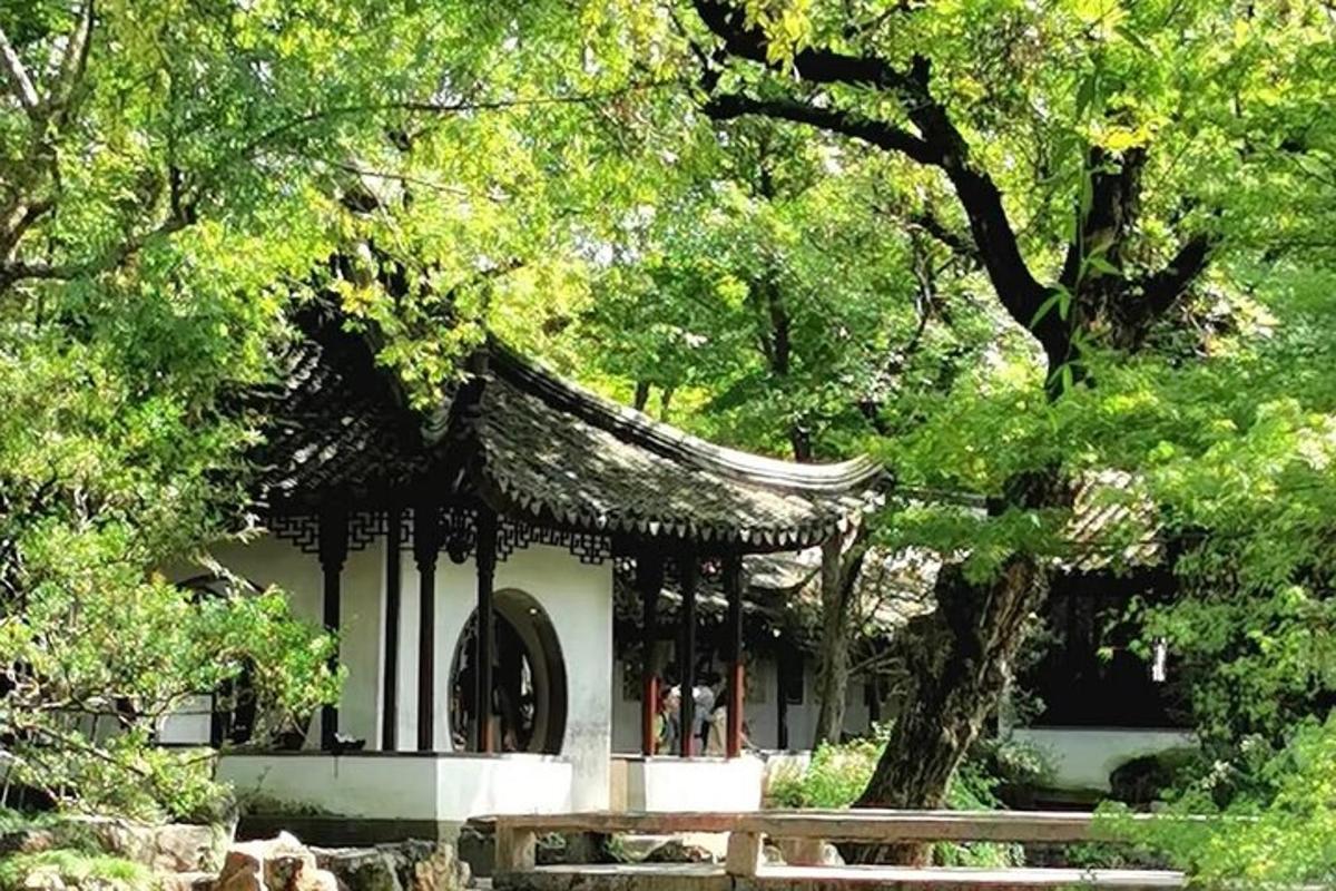 a building with a tree and a wooden bench