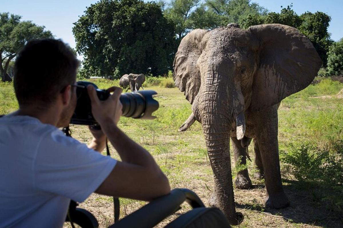 un home fent una foto d'un elefant amb una càmera