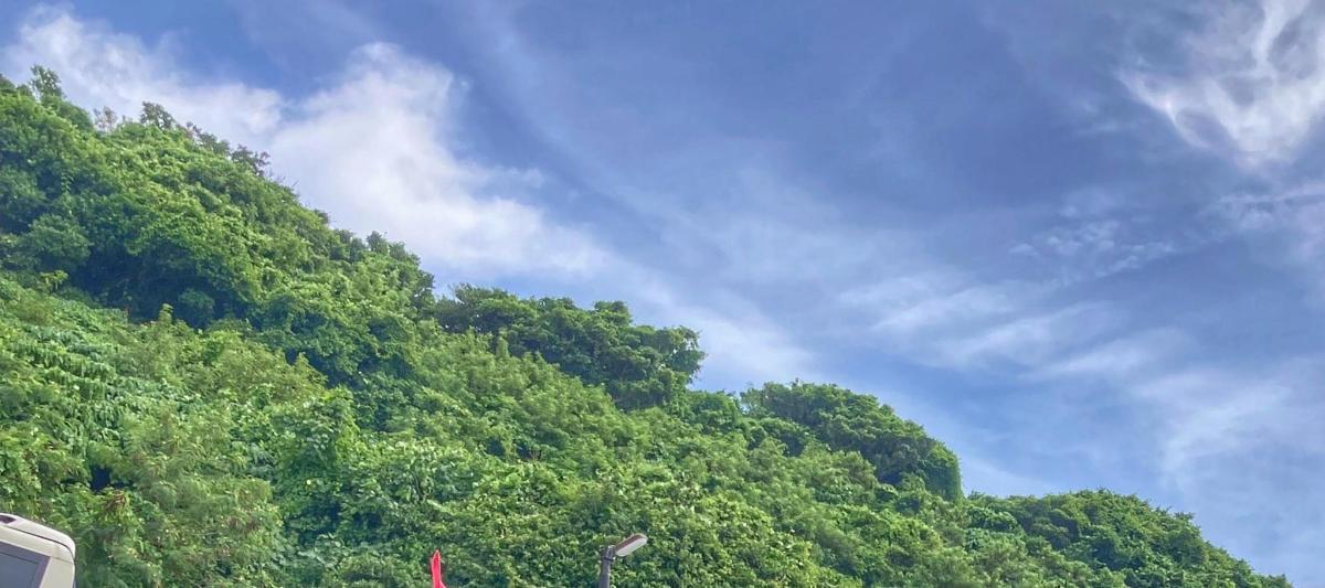 a hill covered in trees under a cloudy sky