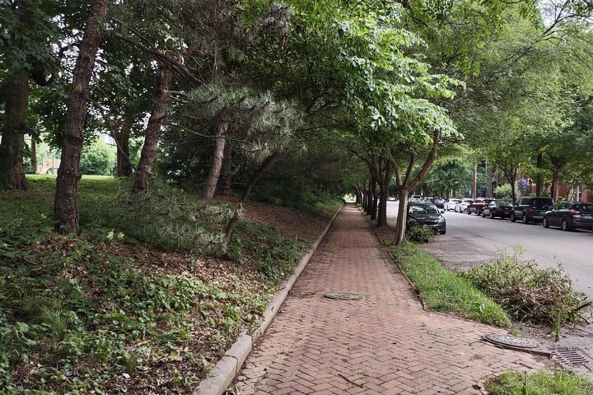 a sidewalk with trees on the side of a street