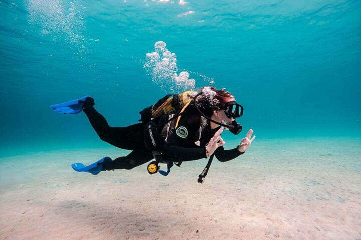 Tauchen lernen mit dem Boot auf Mallorca
