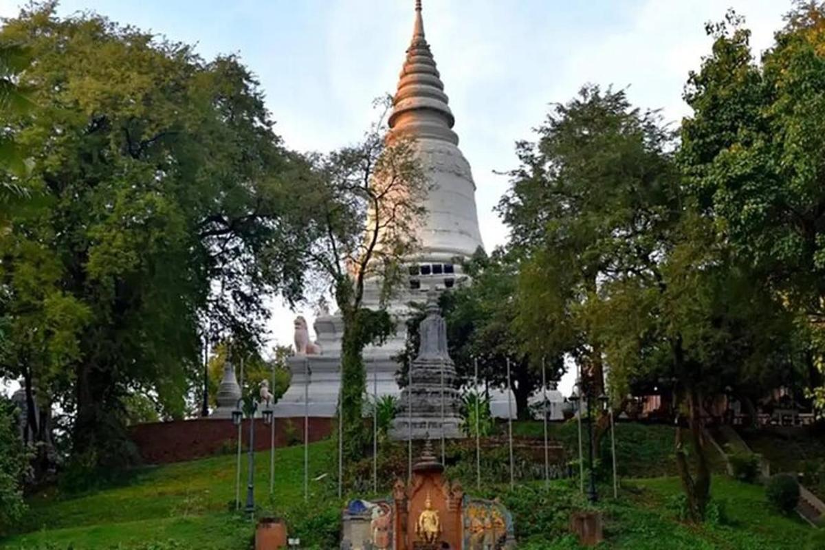 pagoda uprostřed pole se stromy