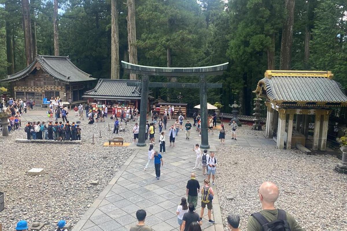 a group of people walking around a park