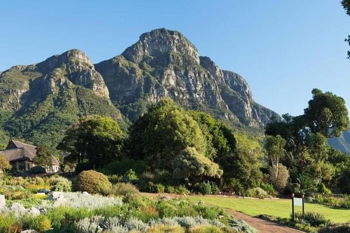 una montagna sullo sfondo con un campo e degli alberi