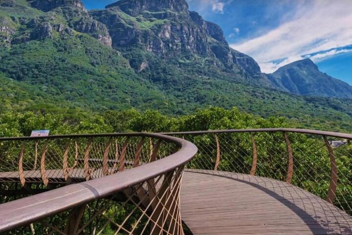 un ponte di legno con una montagna sullo sfondo
