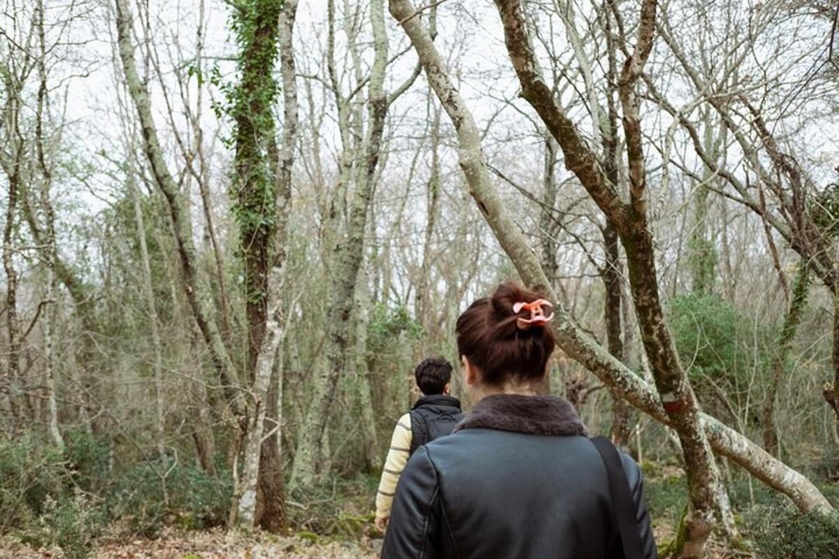 two people walking down a trail in the woods