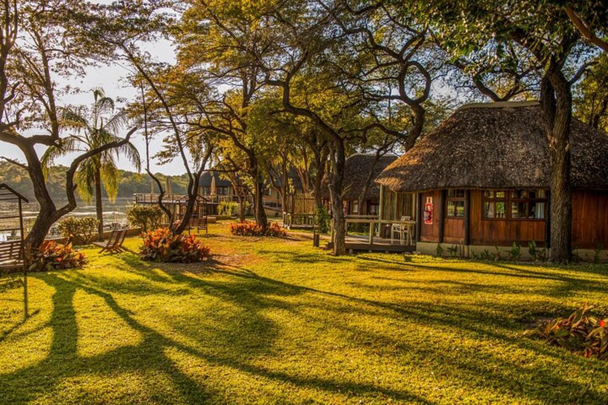 a house with a grass roof and a yard with trees
