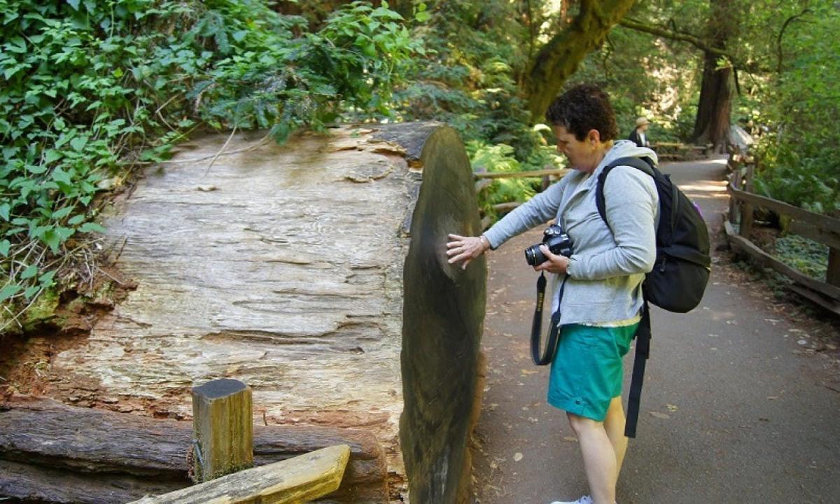 un uomo con una macchina fotografica in piedi su un sentiero